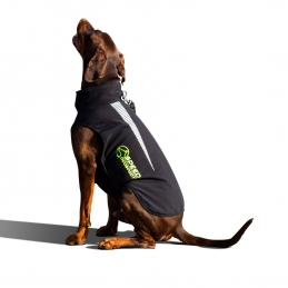 Dog coat winter made of softshell CAMBRIDGE in 10 sizes / SD-GCSG / Speed Dogsport® - 2