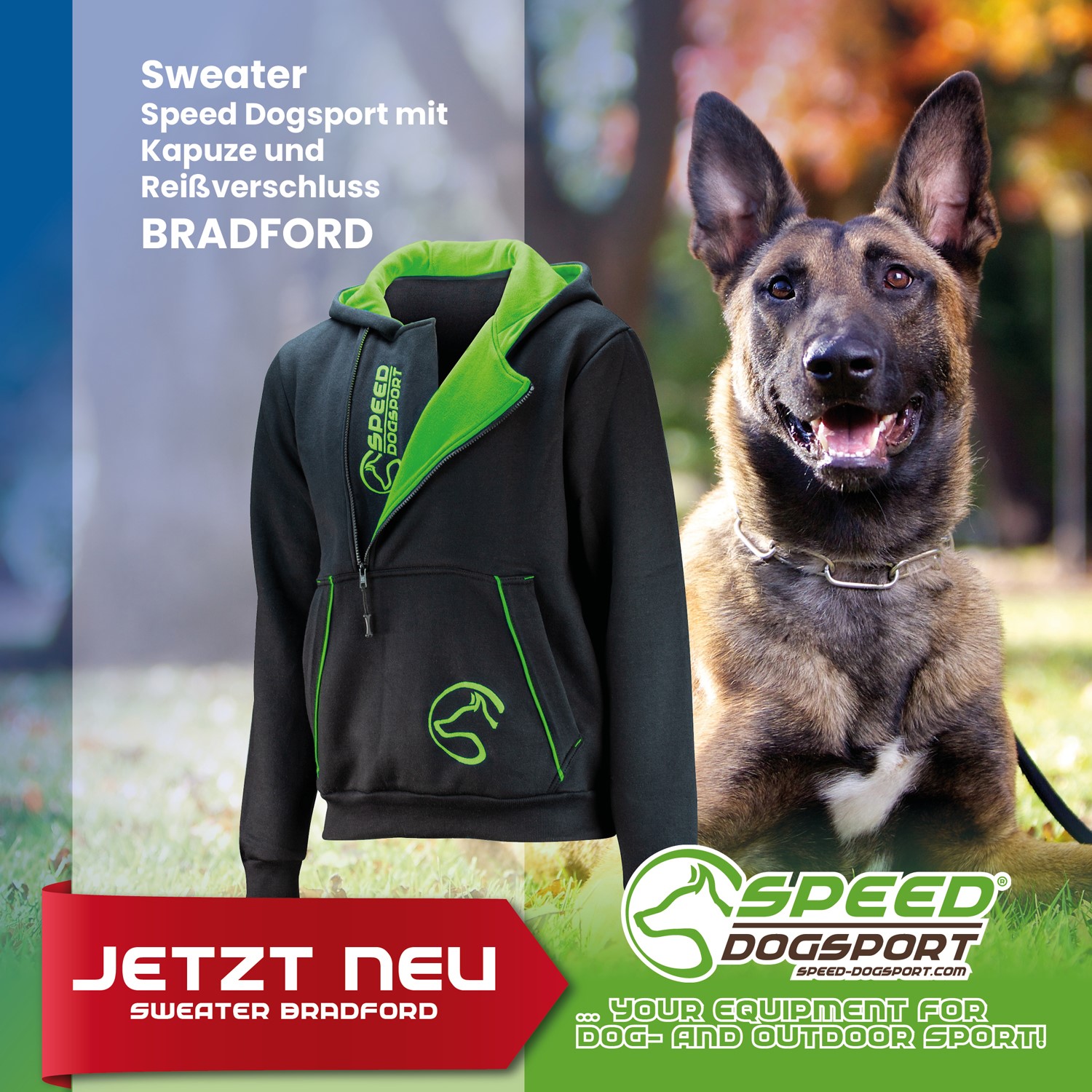 Sweater BRADFORD schwarz-grün